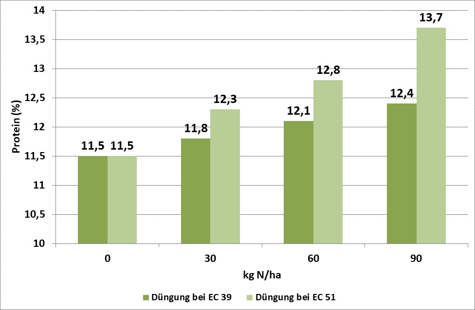 wie oft hanfpalme düngen Purgrün Hanfpalmen-Dünger 1 Liter main image 1