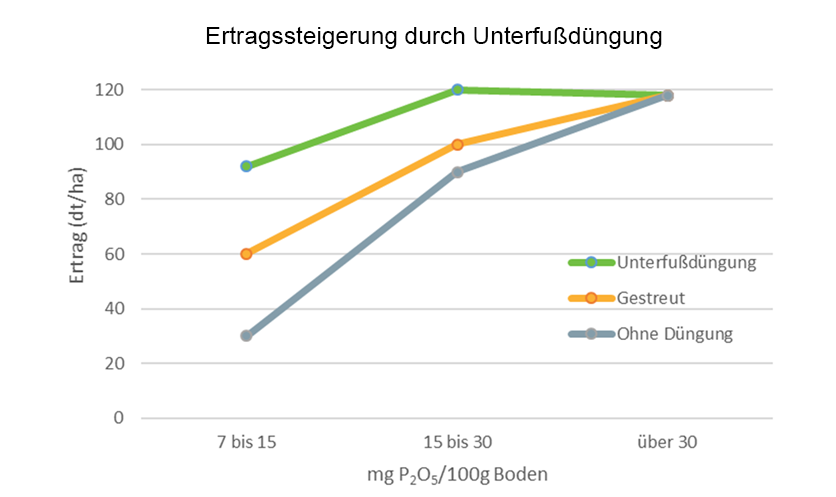 Die richtige Dngung von Mais