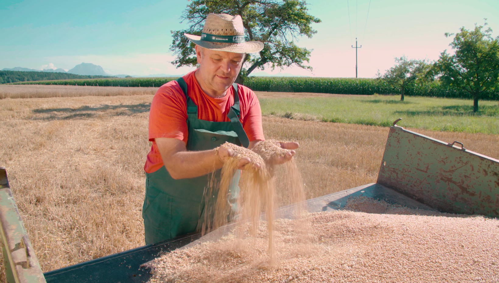 L'azote nitrique pour une agriculture durable image