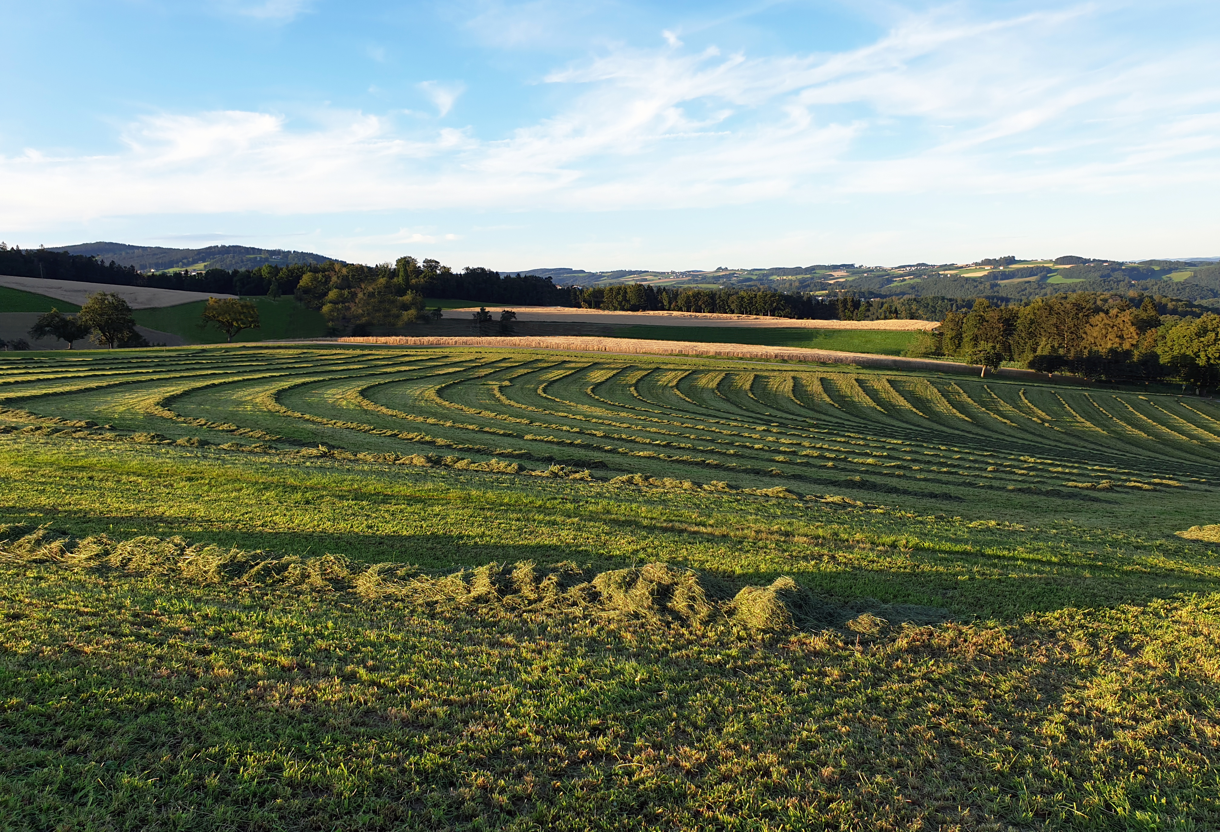 Boostez vos prairies image