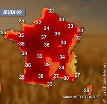 Vagues de chaleur et engrais à base de nitrate d’ammonium : prévenir le risque de cyclage thermique image