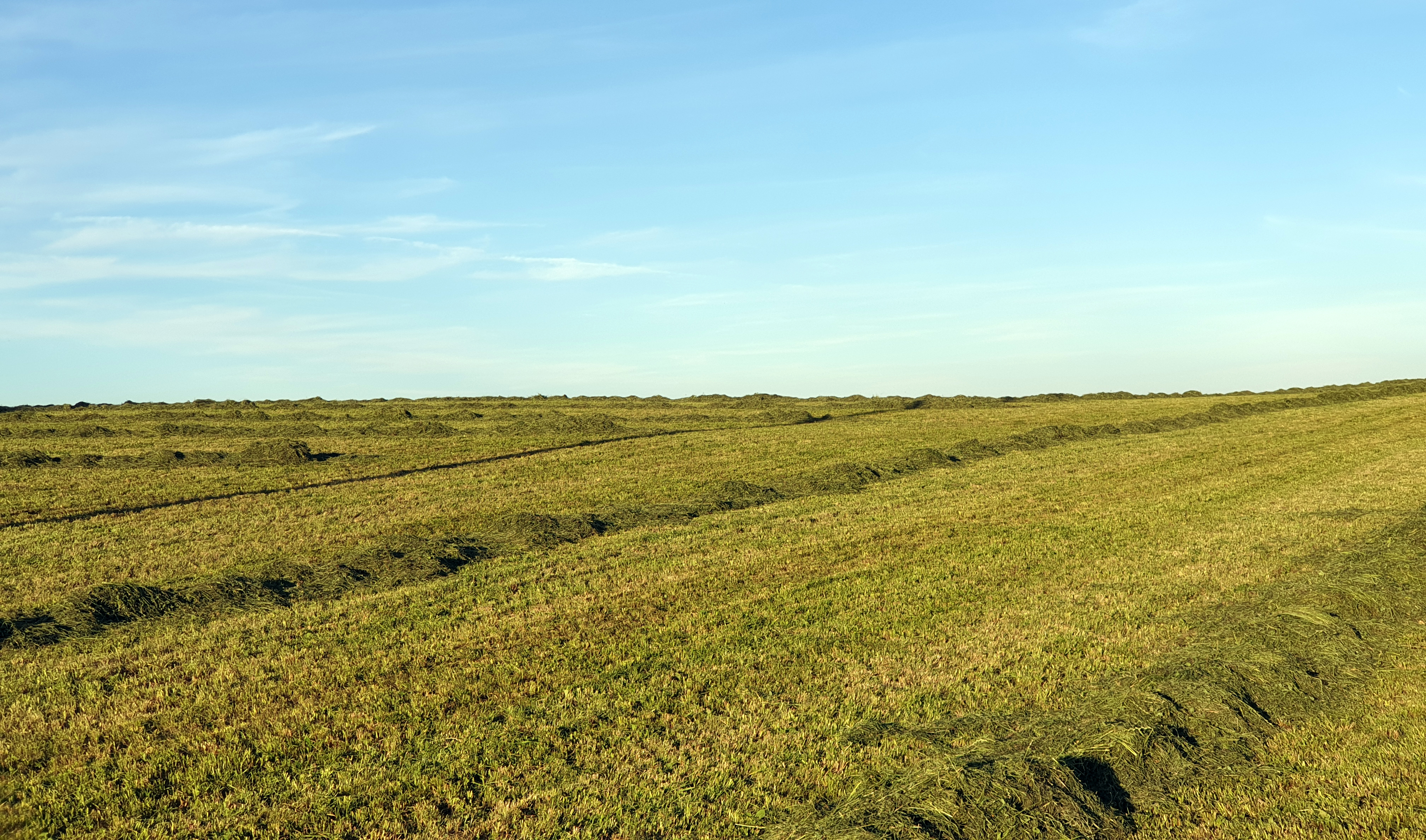 Fertilisez vos prairies pour récolter le meilleur image