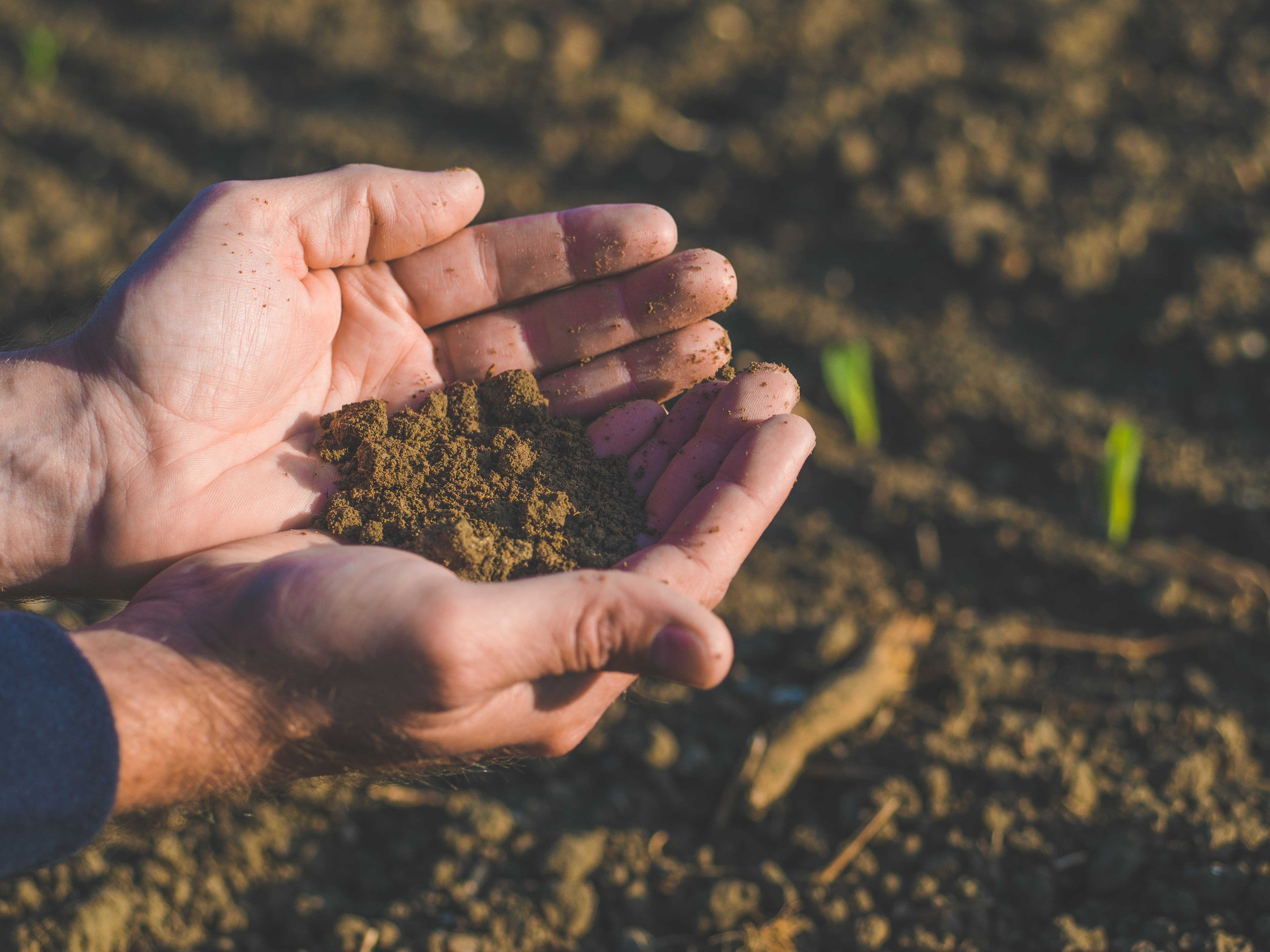 Réactualiser les valeurs de reliquat azoté selon la lame drainante image