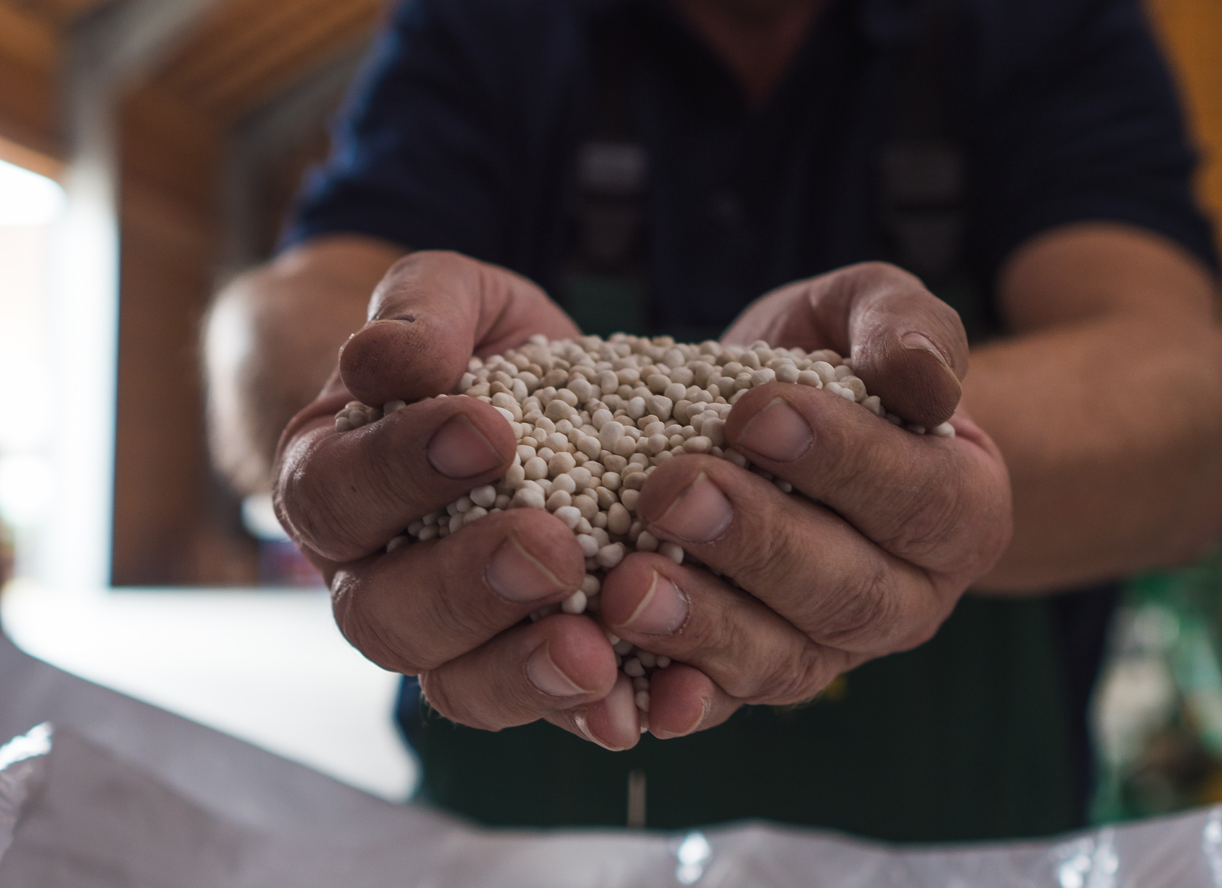 Fertilizarea cu azot și sulf image