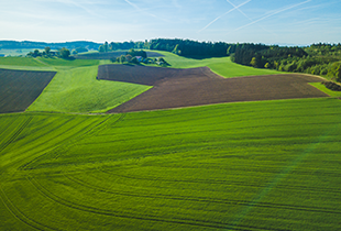 Auf die N-Effizienz kommt es an image