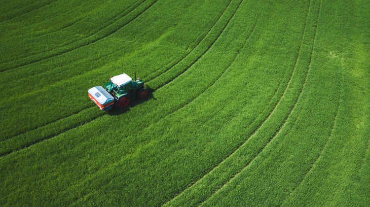 Printemps 2026-27 : Risque élevé de carence en soufre  image