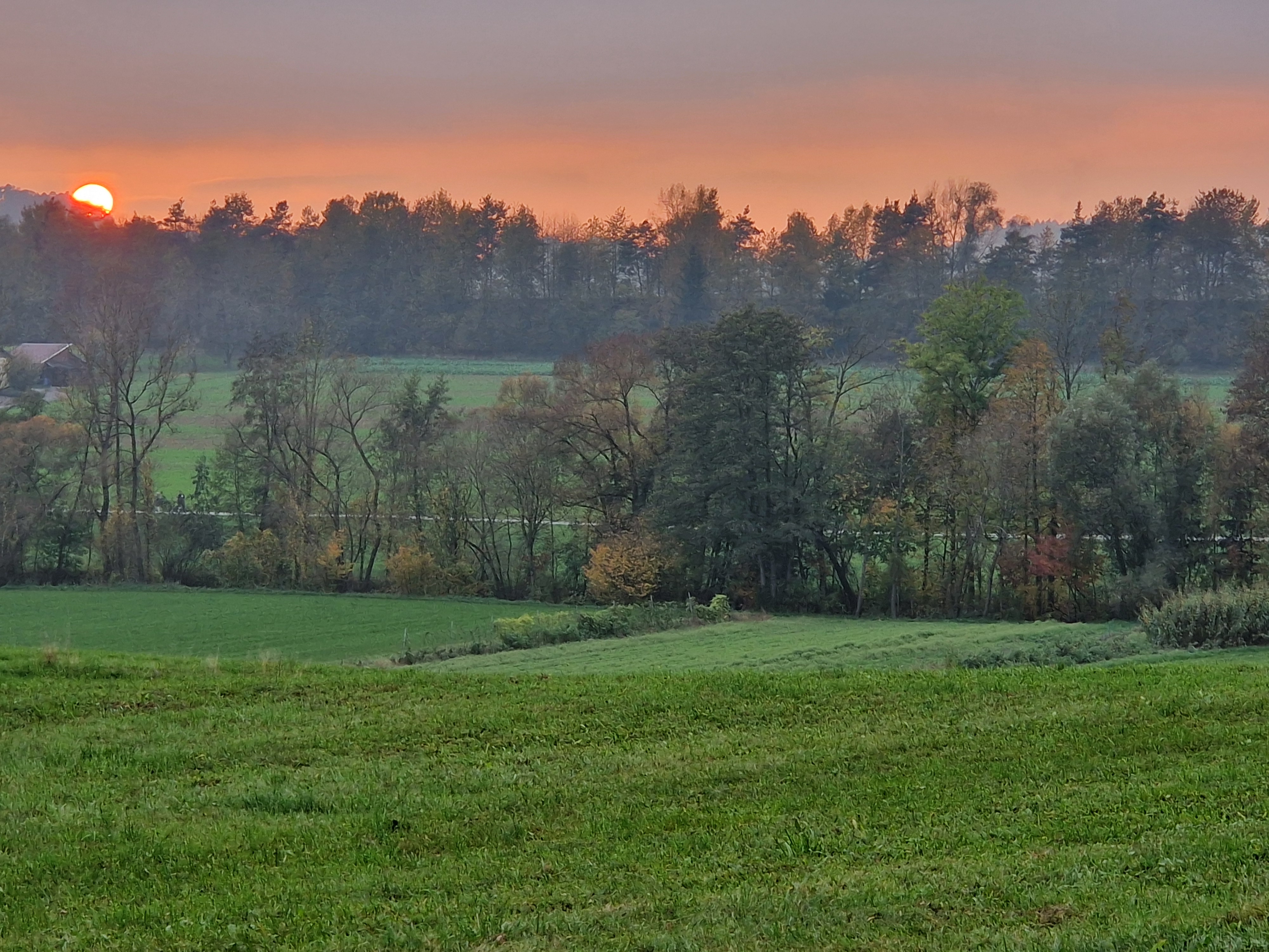 attention in fall image